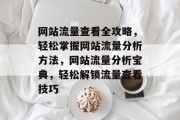 网站流量查看全攻略，轻松掌握网站流量分析方法，网站流量分析宝典，轻松解锁流量查看技巧