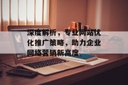 深度解析，专业网站优化推广策略，助力企业网络营销新高度