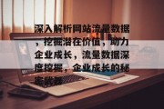 深入解析网站流量数据，挖掘潜在价值，助力企业成长，流量数据深度挖掘，企业成长的秘密武器