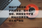 网站IP流量监测，守护网络安全，提升用户体验，网络安全守护者，网站IP流量监测，优化用户体验