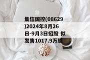 集信国控(08629)2024年8月26日-9月3日招股 拟发售1017.9万股 集信国控(08629)2024年8月26日-9月3日招股 拟发售1017.9万股