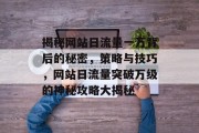 揭秘网站日流量一万背后的秘密，策略与技巧，网站日流量突破万级的神秘攻略大揭秘
