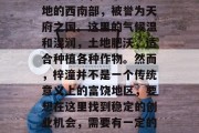 梓潼是中国四川省的一个小城市,位于四川盆地的西南部,被誉为天府之国。这里的气候温和湿润,土地肥沃,适合种植各种作物。然而,梓潼并不是一个传统意义上的富饶地区,要想在这里找到稳定的创业机会,需要有一定的策略和技巧。,梓潼,宜居的小城与创业挑战 梓潼是中国四川省的一个小城市,位于四川盆地的西南部,被誉为天府之国。这里的气候温和湿润,土地肥沃,适合种植各种作物。然而,梓潼并不是一个传统意义上的富饶地区,要想在这里找到稳定的创业机会,需要有一定的策略和技巧。,梓潼,宜居的小城与创业挑战