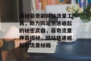 揭秘菲奇刷网站流量工具，助力网站快速崛起的秘密武器，菲奇流量神器揭秘，网站快速崛起的流量秘籍