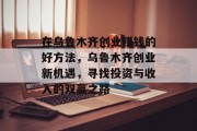 在乌鲁木齐创业赚钱的好方法,乌鲁木齐创业新机遇,寻找投资与收入的双赢之路 在乌鲁木齐创业赚钱的好方法,乌鲁木齐创业新机遇,寻找投资与收入的双赢之路