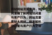 揭秘网站流量查询，如何准确了解网站访问量与用户行为，网站流量奥秘大揭秘，精准解析访问量与用户行为之道