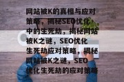 网站被K的真相与应对策略，揭秘SEO优化中的生死劫，揭秘网站被K之谜，SEO优化生死劫应对策略，揭秘网站被K之谜，SEO优化生死劫的应对策略