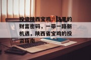 投资陕西宝鸡!这里的财富密码,一带一路新机遇,陕西省宝鸡的投资指南 投资陕西宝鸡!这里的财富密码,一带一路新机遇,陕西省宝鸡的投资指南
