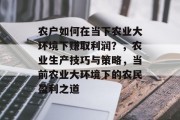 农户如何在当下农业大环境下赚取利润?,农业生产技巧与策略,当前农业大环境下的农民盈利之道 农户如何在当下农业大环境下赚取利润?,农业生产技巧与策略,当前农业大环境下的农民盈利之道
