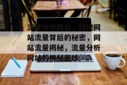 流量分析网站，揭秘网站流量背后的秘密，网站流量揭秘，流量分析网站的神秘面纱