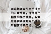 网站初期吸引用户注册的五大策略，打造用户粘性的秘密武器，五大策略解锁网站用户注册与粘性增长之道