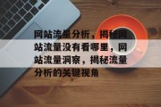 网站流量分析，揭秘网站流量没有看哪里，网站流量洞察，揭秘流量分析的关键视角