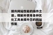提升网站性能的插件之道，理解并使用各种优化工具来提升您的网站性能