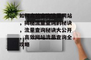 如何高效查询流量网站，揭秘流量查询的秘诀，流量查询秘诀大公开，高效网站流量查询全攻略
