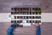 流量天堂网站，揭秘互联网时代的流量聚集地，互联网流量聚集地的秘密解析，流量天堂网站大揭秘