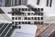 轻松掌握网站流量套餐查询技巧，助力网站运营无忧，网站流量套餐无忧查询攻略，提升运营效率