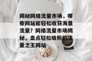 揭秘网络流量市场，哪些网站能轻松收获海量流量？网络流量市场揭秘，盘点轻松吸粉的流量之王网站