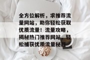 全方位解析，求推荐流量网站，助你轻松获取优质流量！流量攻略，揭秘热门推荐网站，轻松捕获优质流量秘籍