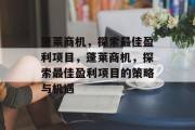 蓬莱商机,探索最佳盈利项目,蓬莱商机,探索最佳盈利项目的策略与机遇 蓬莱商机,探索最佳盈利项目,蓬莱商机,探索最佳盈利项目的策略与机遇