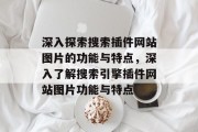 深入探索搜索插件网站图片的功能与特点，深入了解搜索引擎插件网站图片功能与特点