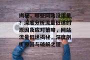 揭秘，哪些网站没流量？深度分析流量低迷的原因及应对策略，网站流量低迷揭秘，深度剖析原因与破解之道