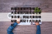 网站流量提升攻略，十大实用技巧助你吸引更多访客，网站流量倍增秘籍，揭秘十大引流高招