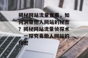 揭秘网站流量查看，如何洞察他人网站的秘密？揭秘网站流量侦探术，一探究竟他人网站的秘密