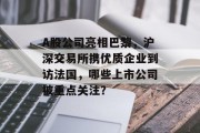 A股公司亮相巴黎,沪深交易所携优质企业到访法国,哪些上市公司被重点关注? A股公司亮相巴黎,沪深交易所携优质企业到访法国,哪些上市公司被重点关注?