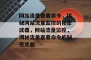 网站流量查看命令，揭秘网站流量监控的秘密武器，网站流量监控，揭秘流量查看命令的秘密武器