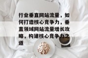 行业垂直网站流量，如何打造核心竞争力，垂直领域网站流量增长攻略，构建核心竞争力之道