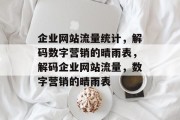 企业网站流量统计，解码数字营销的晴雨表，解码企业网站流量，数字营销的晴雨表