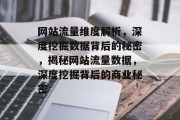 网站流量维度解析，深度挖掘数据背后的秘密，揭秘网站流量数据，深度挖掘背后的商业秘密