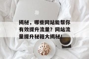 揭秘，哪些网站能帮你有效提升流量？网站流量提升秘籍大揭秘！