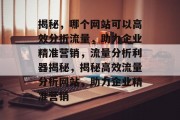 揭秘，哪个网站可以高效分析流量，助力企业精准营销，流量分析利器揭秘，揭秘高效流量分析网站，助力企业精准营销