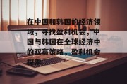 在中国和韩国的经济领域，寻找盈利机会，中国与韩国在全球经济中的双赢策略，盈利机会探索