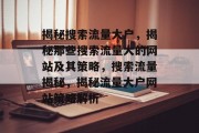 揭秘搜索流量大户，揭秘那些搜索流量大的网站及其策略，搜索流量揭秘，揭秘流量大户网站策略解析