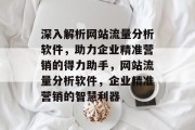 深入解析网站流量分析软件，助力企业精准营销的得力助手，网站流量分析软件，企业精准营销的智慧利器
