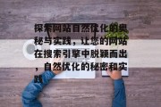 探索网站自然优化的奥秘与实践，让您的网站在搜索引擎中脱颖而出，自然优化的秘密和实践