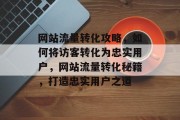 网站流量转化攻略，如何将访客转化为忠实用户，网站流量转化秘籍，打造忠实用户之道
