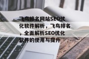 飞鸟排名网站SEO优化软件解析，飞鸟排名，全面解析SEO优化软件的使用与提升