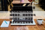 全方位解析——网络营销与网站SEO优化的深度融合，网络营销与SEO优化，一种深度融合的新型营销策略