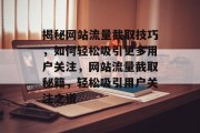 揭秘网站流量截取技巧，如何轻松吸引更多用户关注，网站流量截取秘籍，轻松吸引用户关注之道