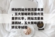 揭秘网站分销流量来源，五大策略助你提升流量转化率，网站流量来源揭秘，五大策略提升转化率秘籍