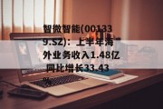 智微智能(001339.SZ):上半年海外业务收入1.48亿 同比增长33.43% 智微智能(001339.SZ):上半年海外业务收入1.48亿 同比增长33.43%