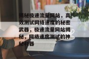揭秘极速流量网站，高效测试网络速度的秘密武器，极速流量网站揭秘，网络速度测试的神秘利器