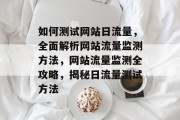 如何测试网站日流量，全面解析网站流量监测方法，网站流量监测全攻略，揭秘日流量测试方法
