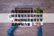 网站流量那些事儿，揭秘流量增长背后的秘密，揭秘网站流量增长背后的神秘力量