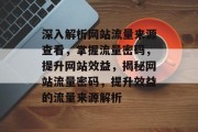 深入解析网站流量来源查看，掌握流量密码，提升网站效益，揭秘网站流量密码，提升效益的流量来源解析