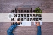 潍坊什么项目能赚钱?,潍坊有哪些发展前景好、前景广阔的项目可以投资? 潍坊什么项目能赚钱?,潍坊有哪些发展前景好、前景广阔的项目可以投资?