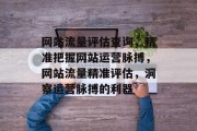 网站流量评估查询，精准把握网站运营脉搏，网站流量精准评估，洞察运营脉搏的利器